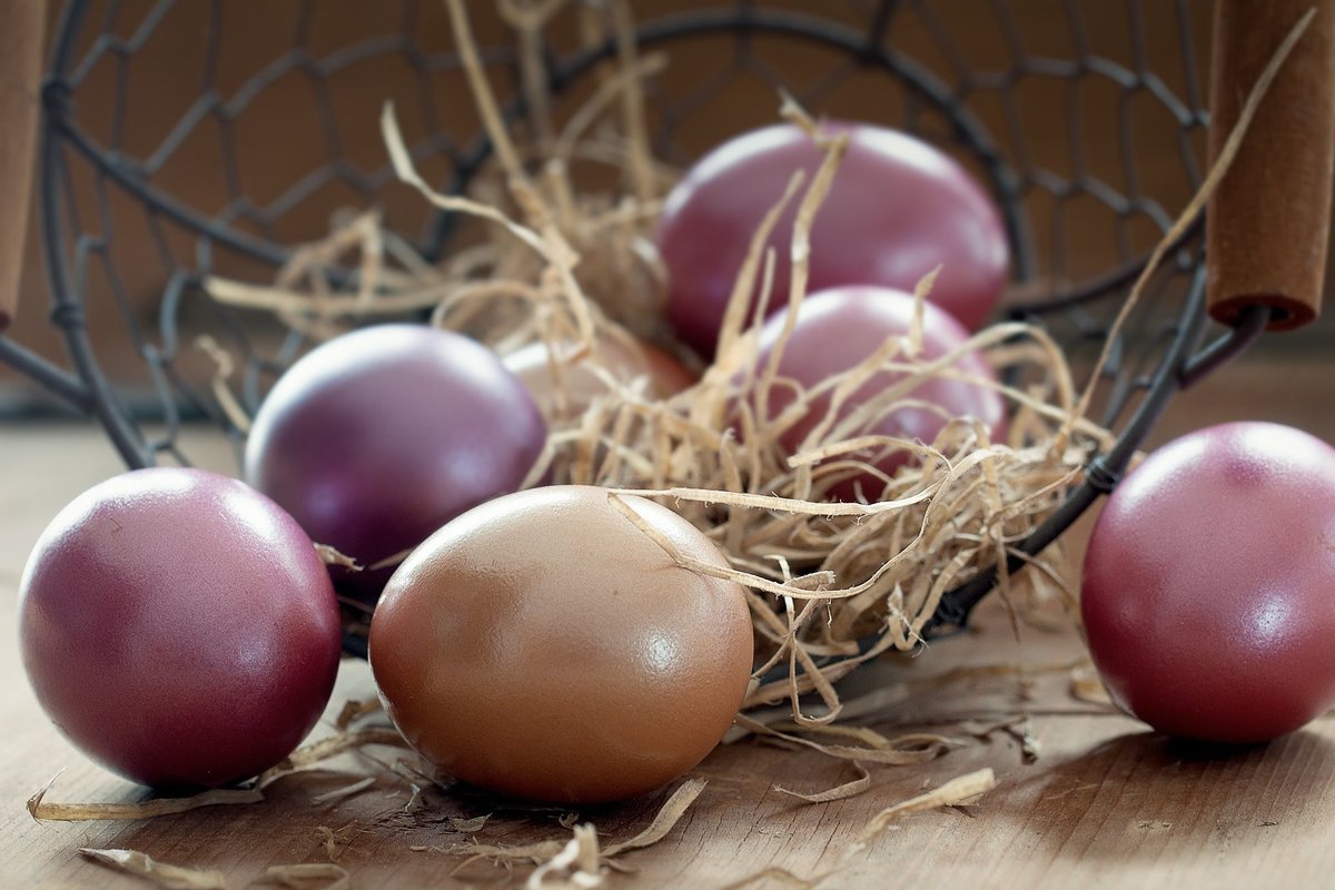 ägg