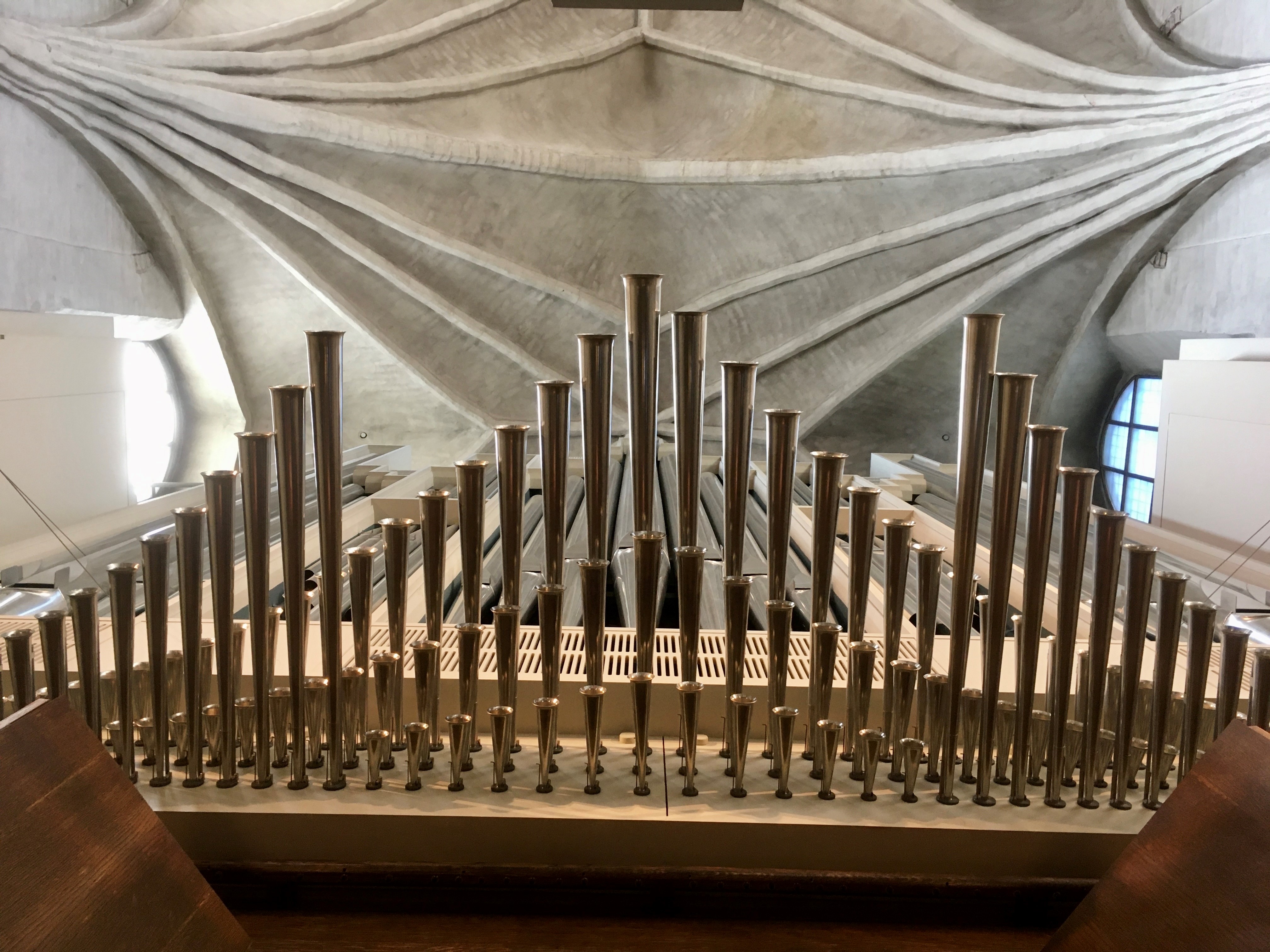 Domkyrkans orgel, spanska trumpeter (foto: MaD)
