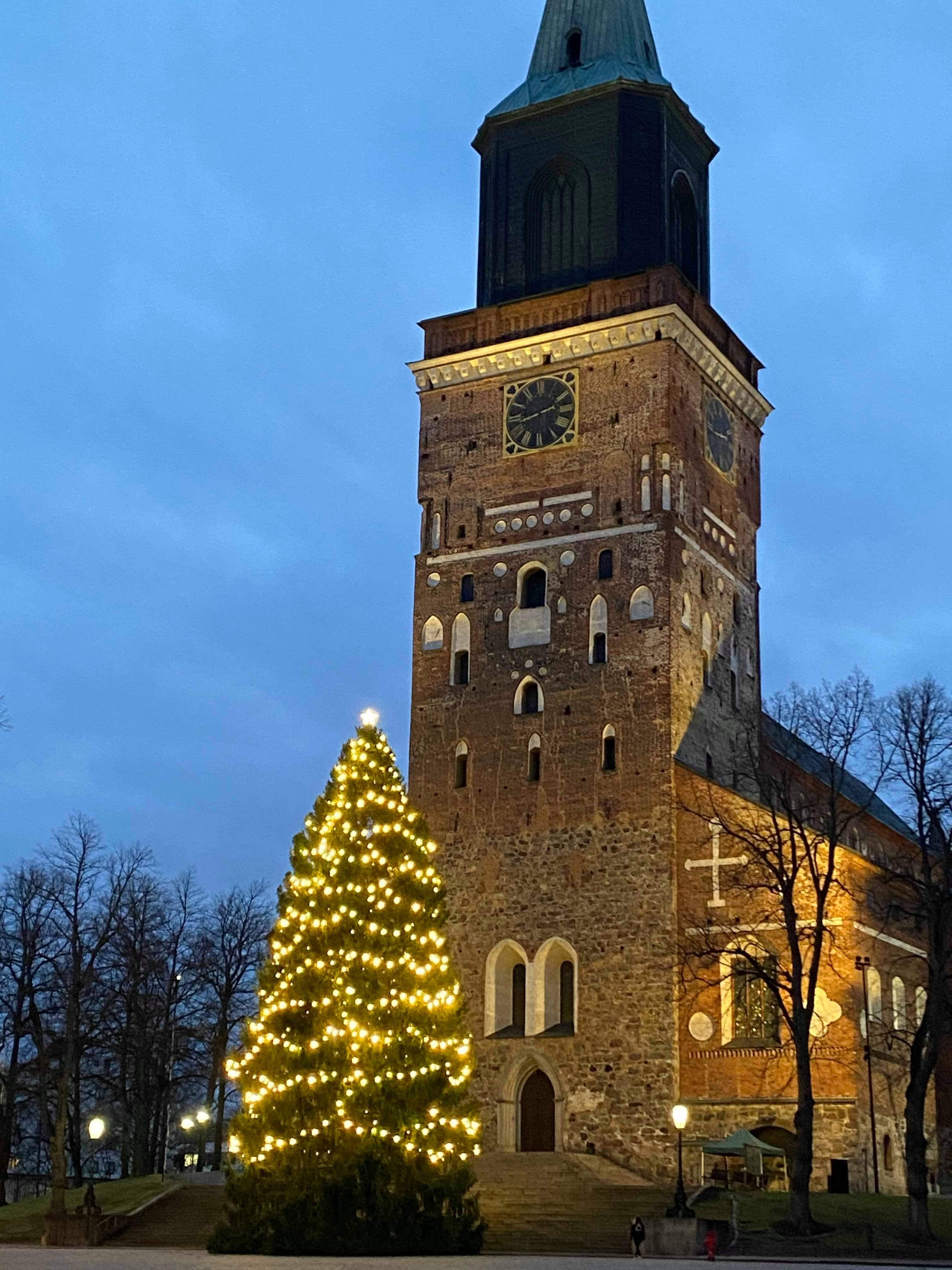 Åbo Domkyrka och julgranen utanför den